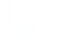 The Hawk
